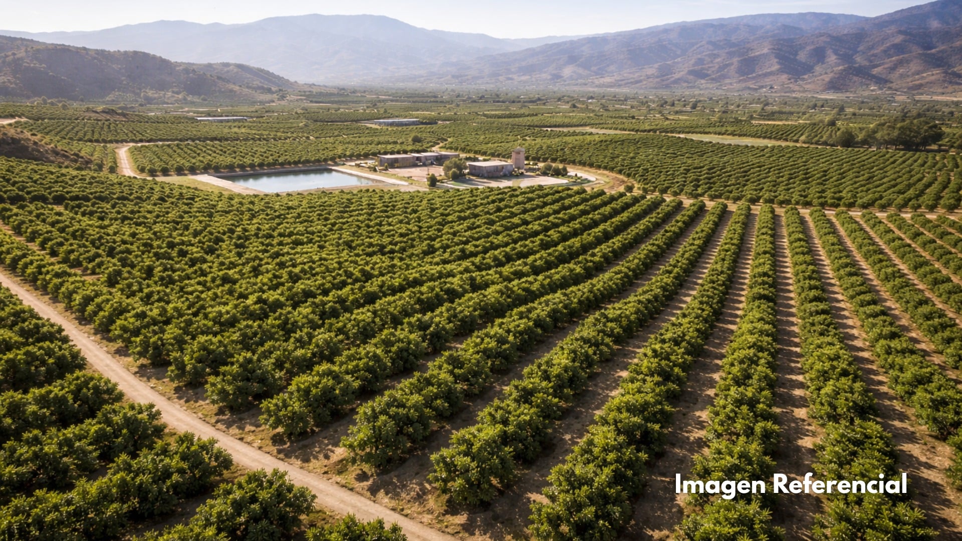 Fondo de Inversión Agrícola Especializado en Tierras de Aguacate – México